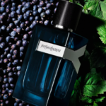 Y H 3.4 EDP